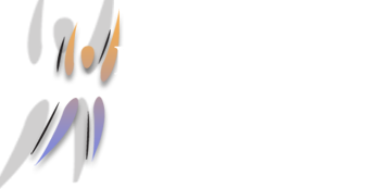 Dr. Rob Sanfilippo